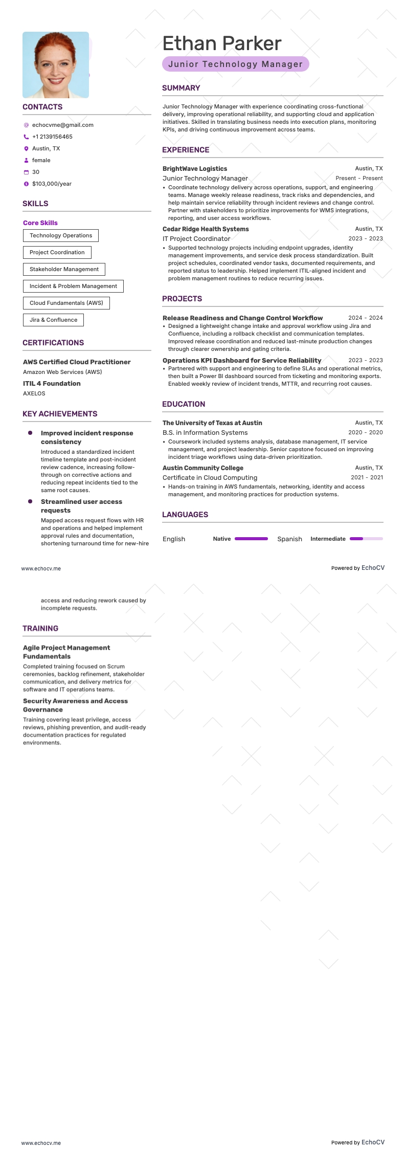 Junior Technology Manager full preview