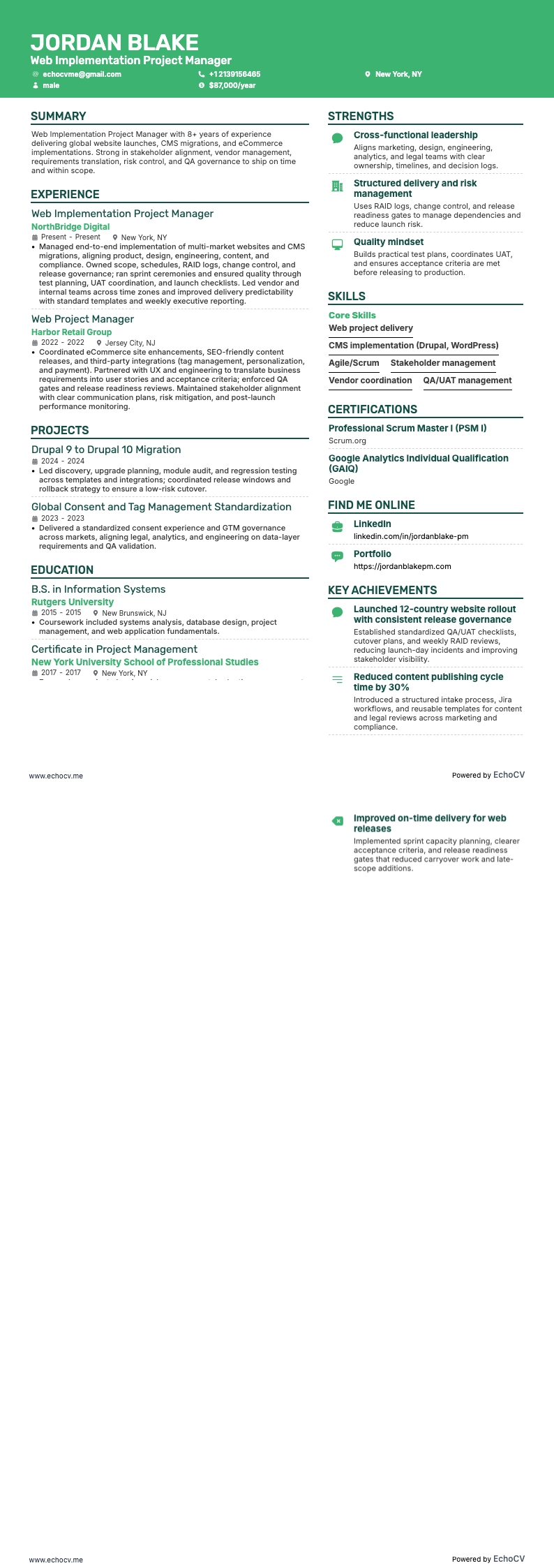 Web Implementation Project Manager example resume