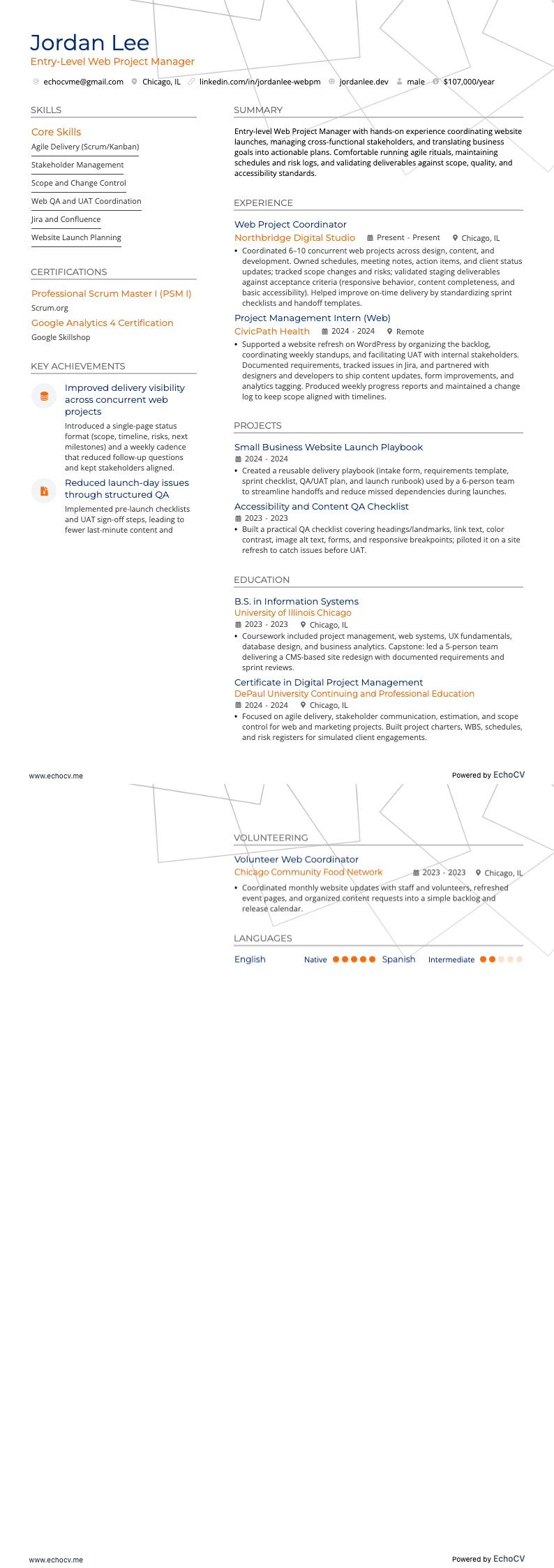 Entry-Level Web Project Manager example resume