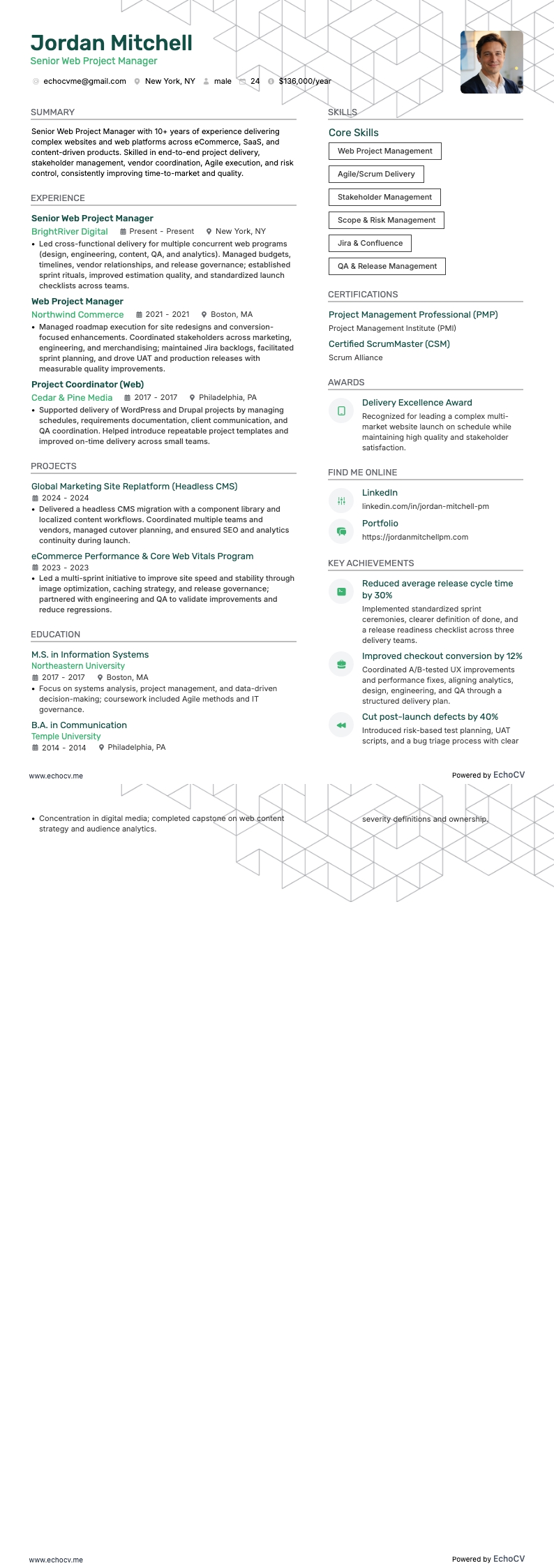 Senior Web Project Manager example resume