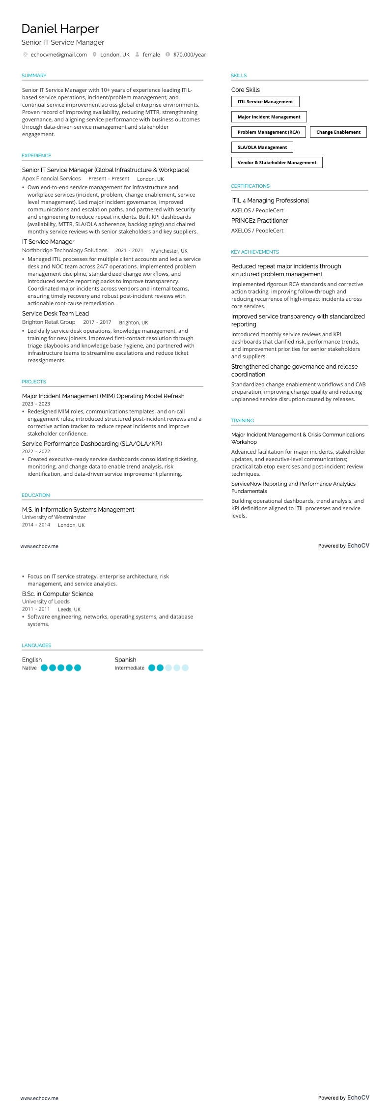 Senior IT Service Manager full preview