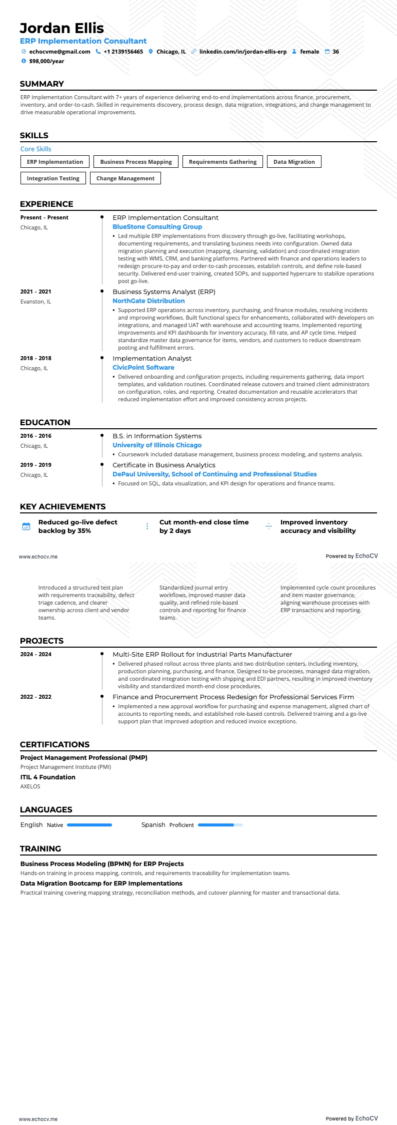 ERP Implementation Consultant example resume