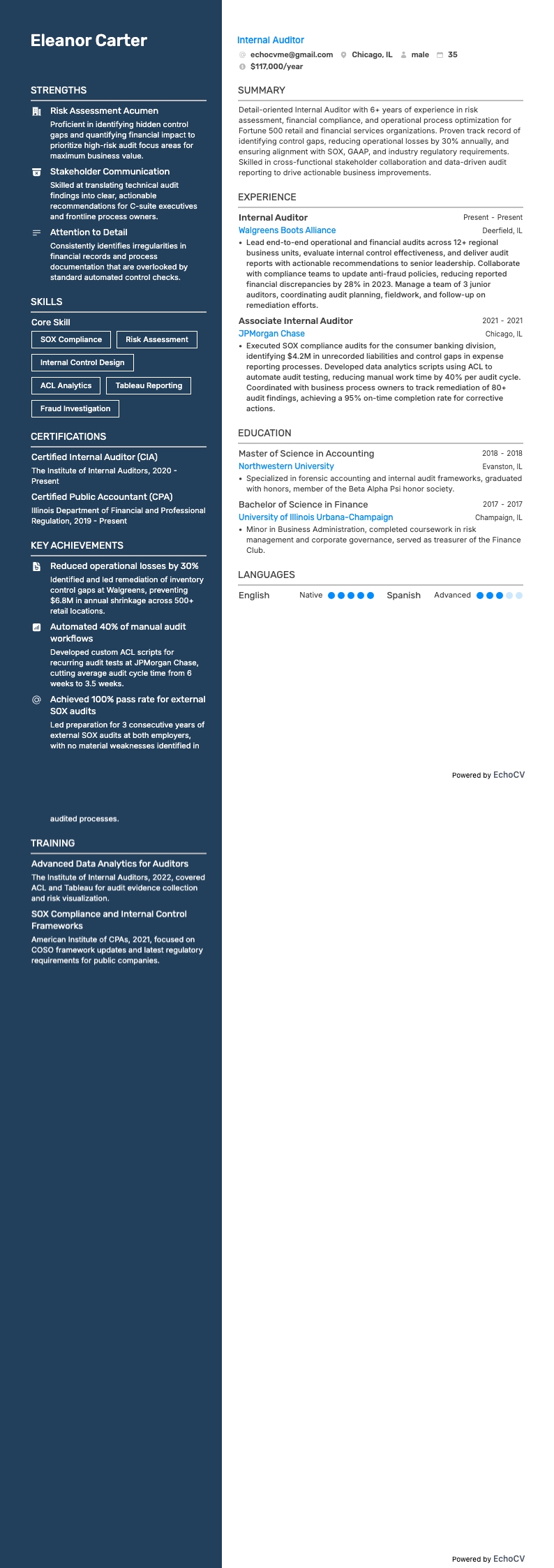 Auditeur interne example resume