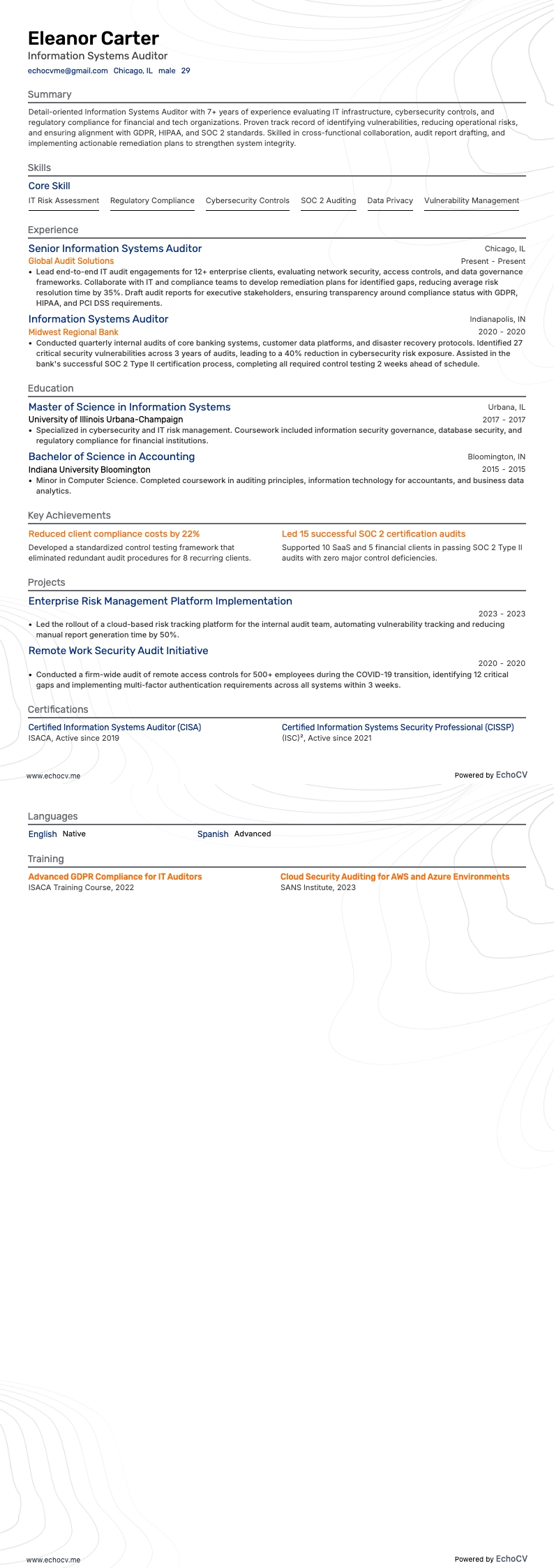 Auditeur des systèmes d'information example resume