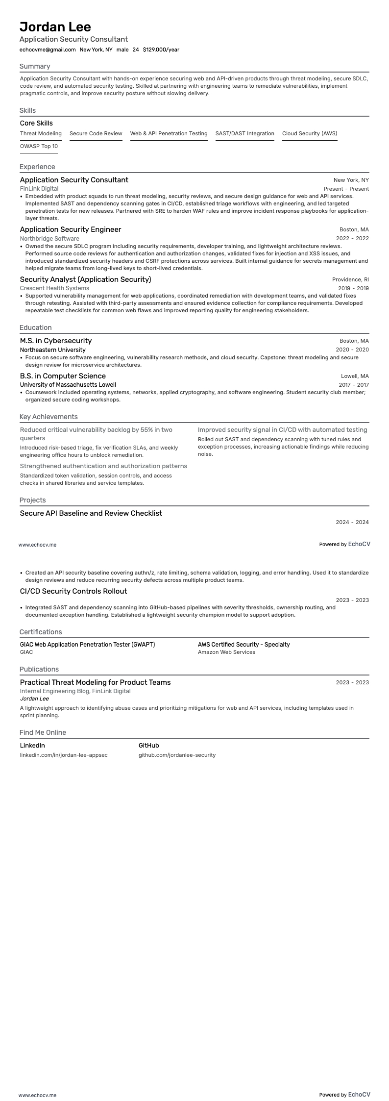 Application Security Consultant example resume
