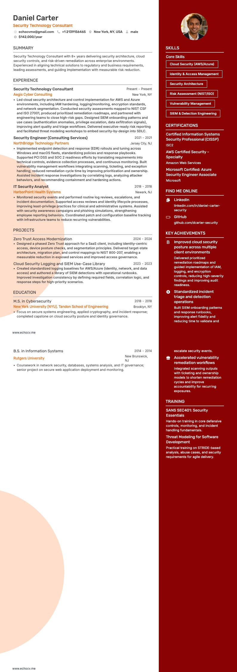 Security Technology Consultant example resume
