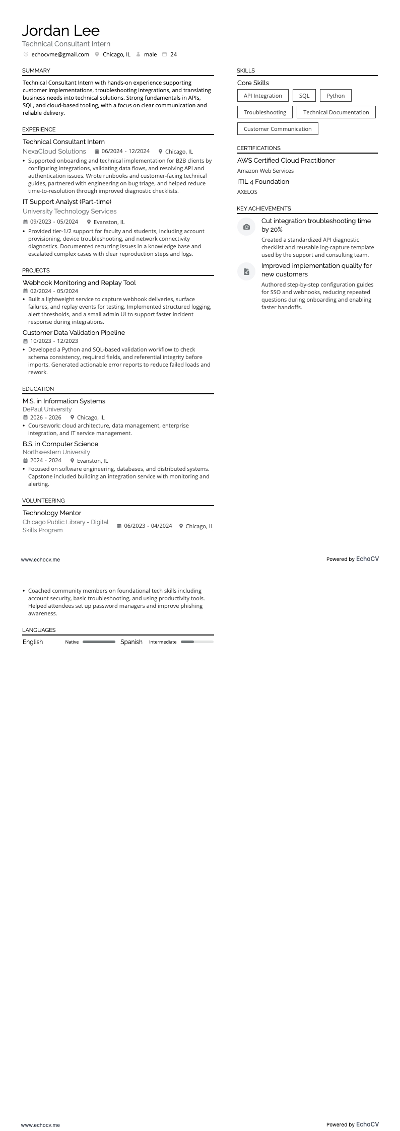 Technical Consultant Intern example resume