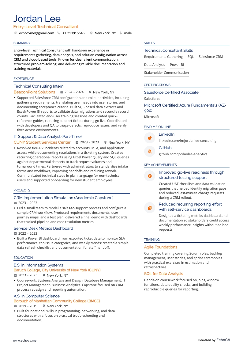 Entry-Level Technical Consultant example resume