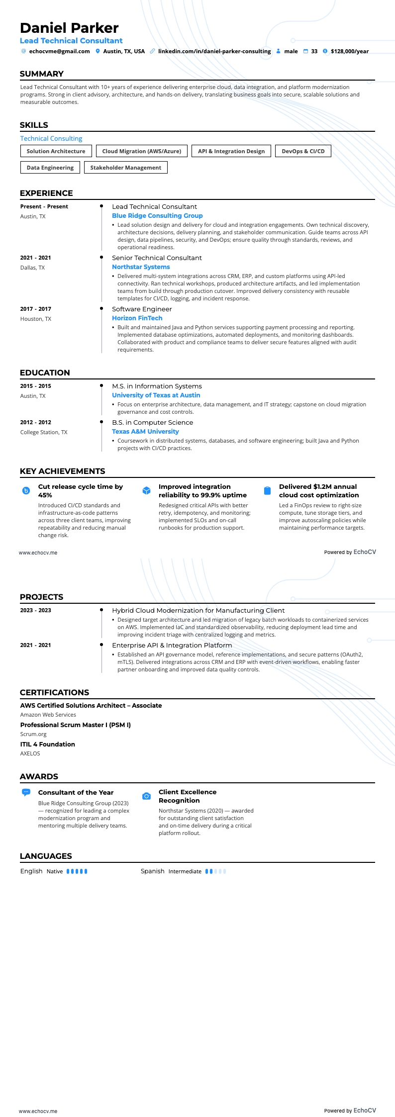 Lead Technical Consultant full preview