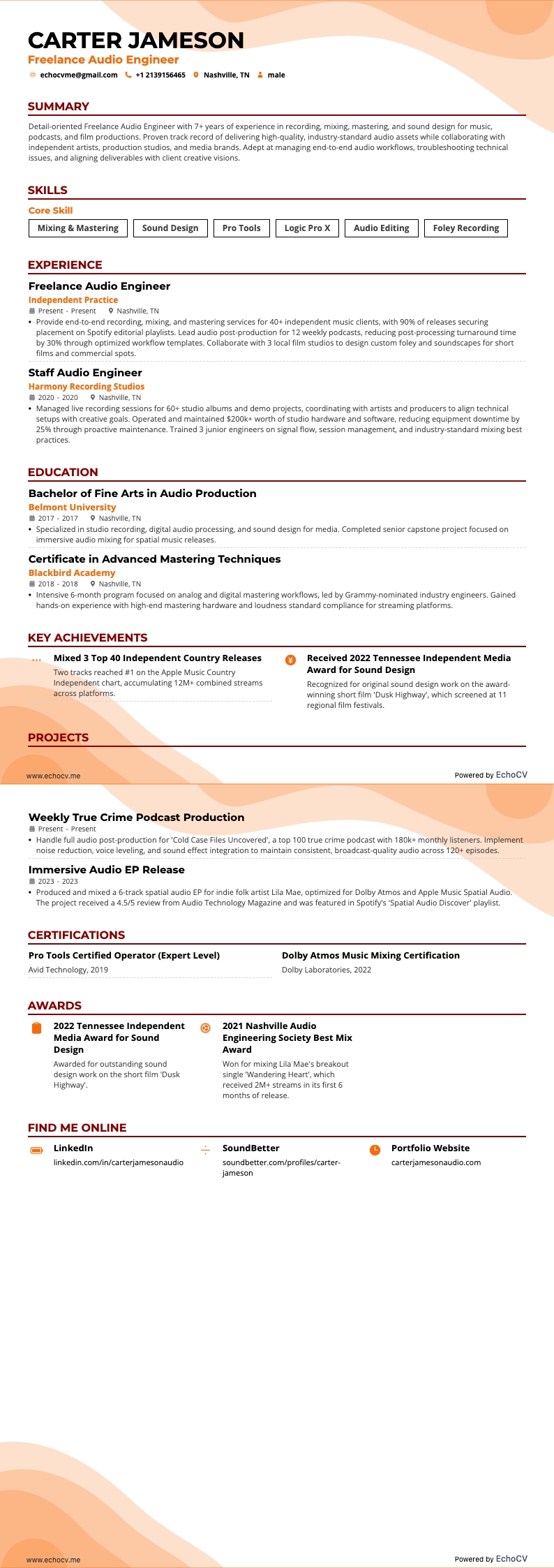 Freelance audiotechnicus example resume