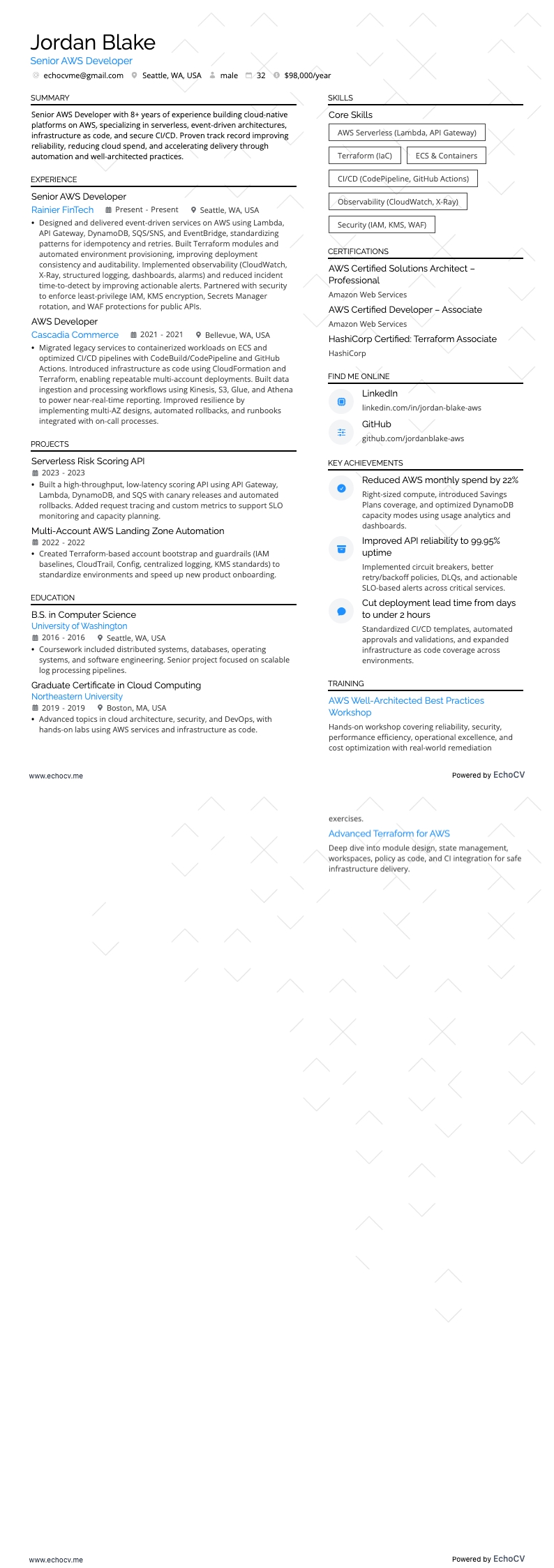 Senior AWS Developer full preview
