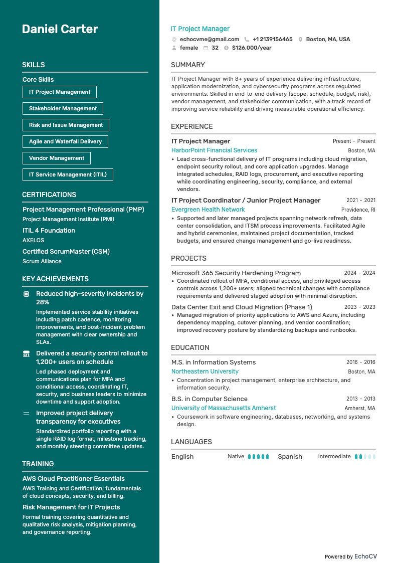 IT Project Manager example resume