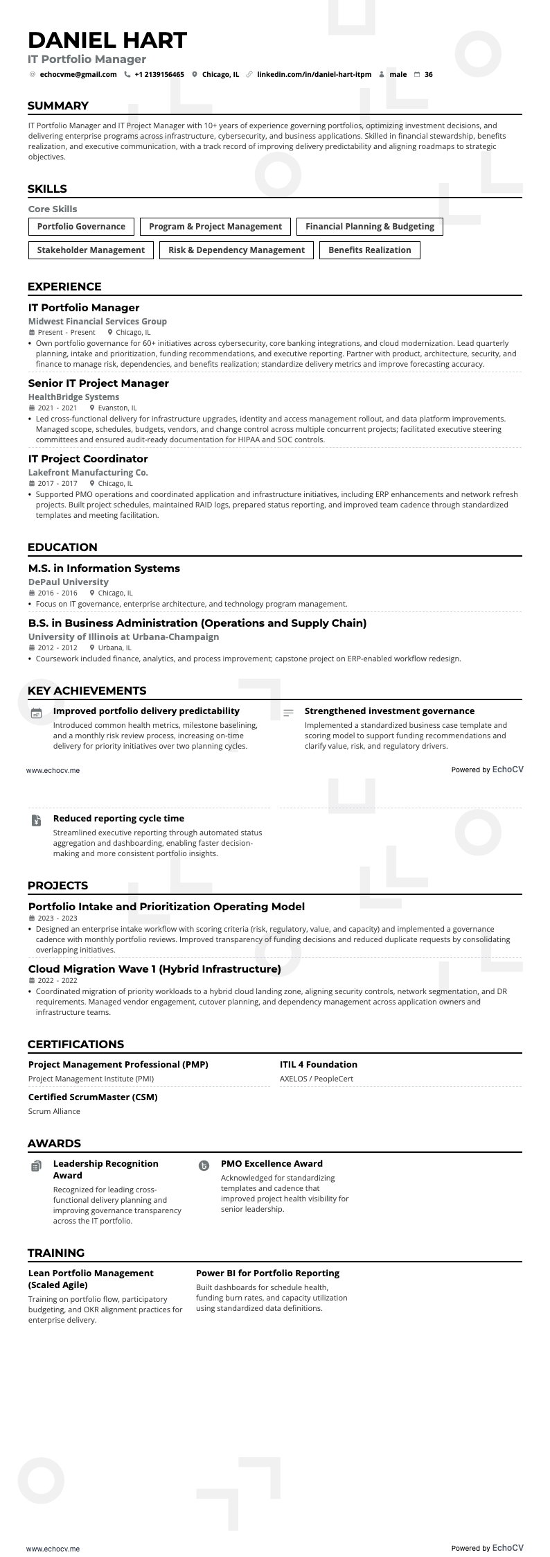 IT Portfolio Manager example resume