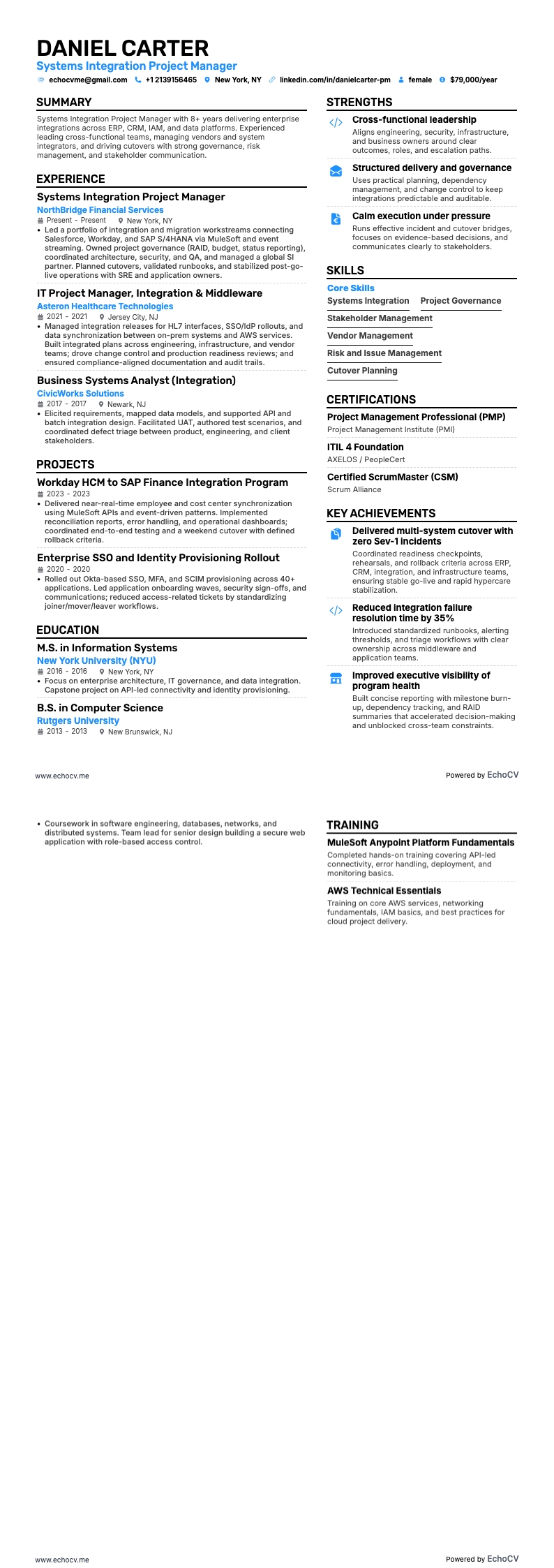 Systems Integration Project Manager full preview
