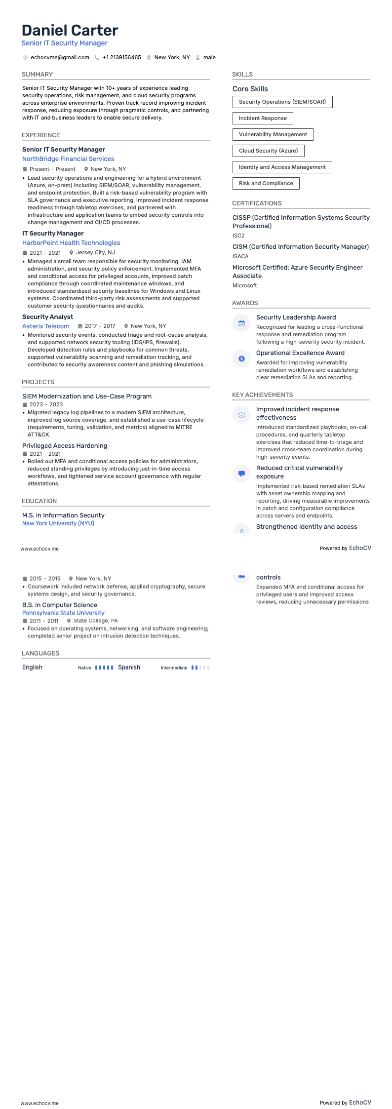 Senior IT Security Manager full preview