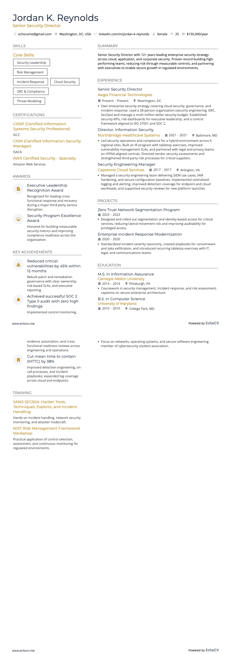 Senior Security Director example resume