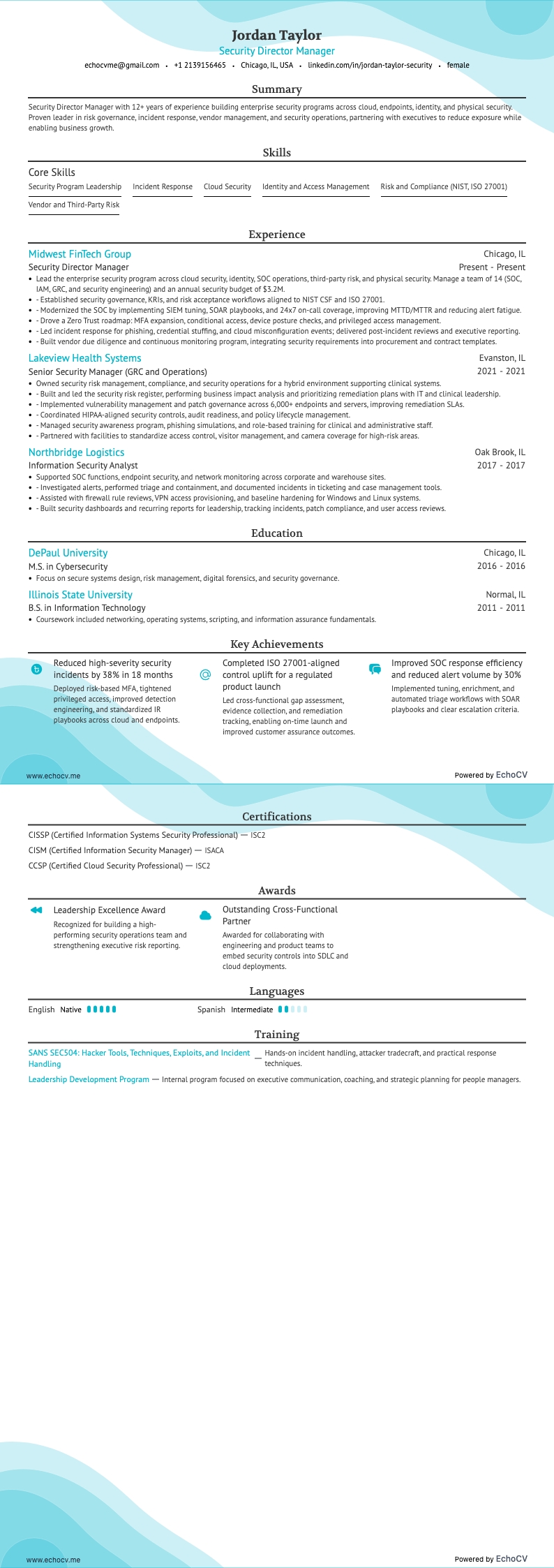 Security Director Manager full preview