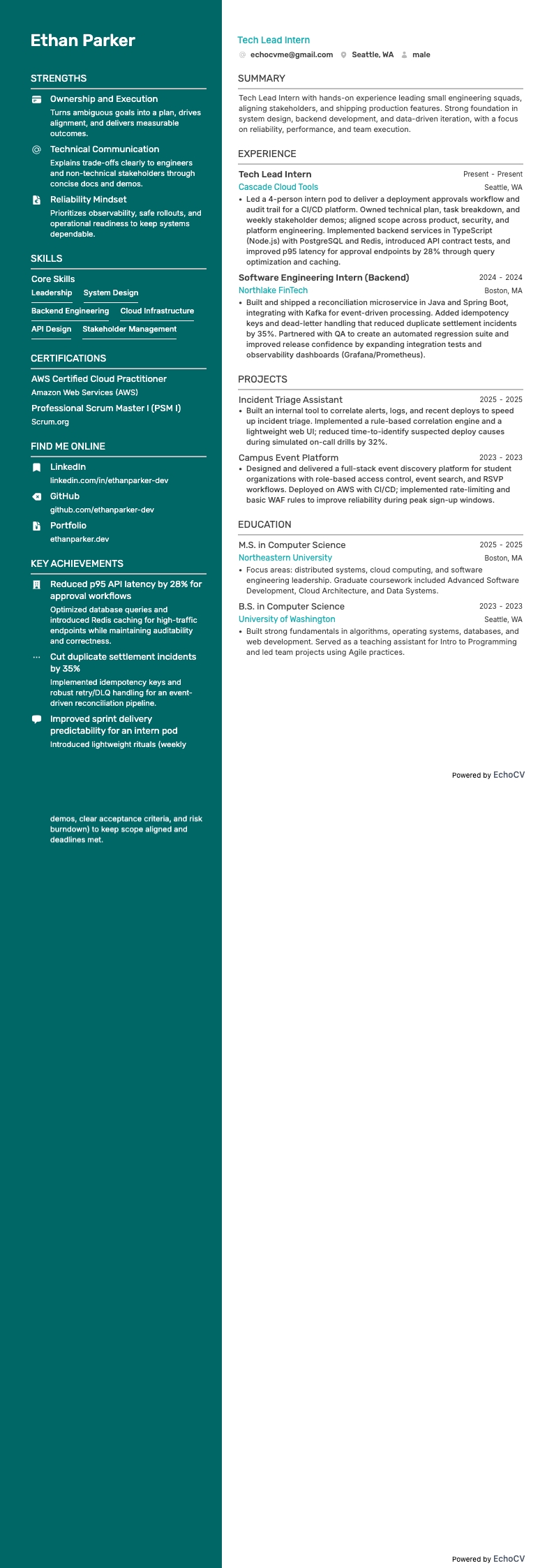 Stagista Tech Lead resume example