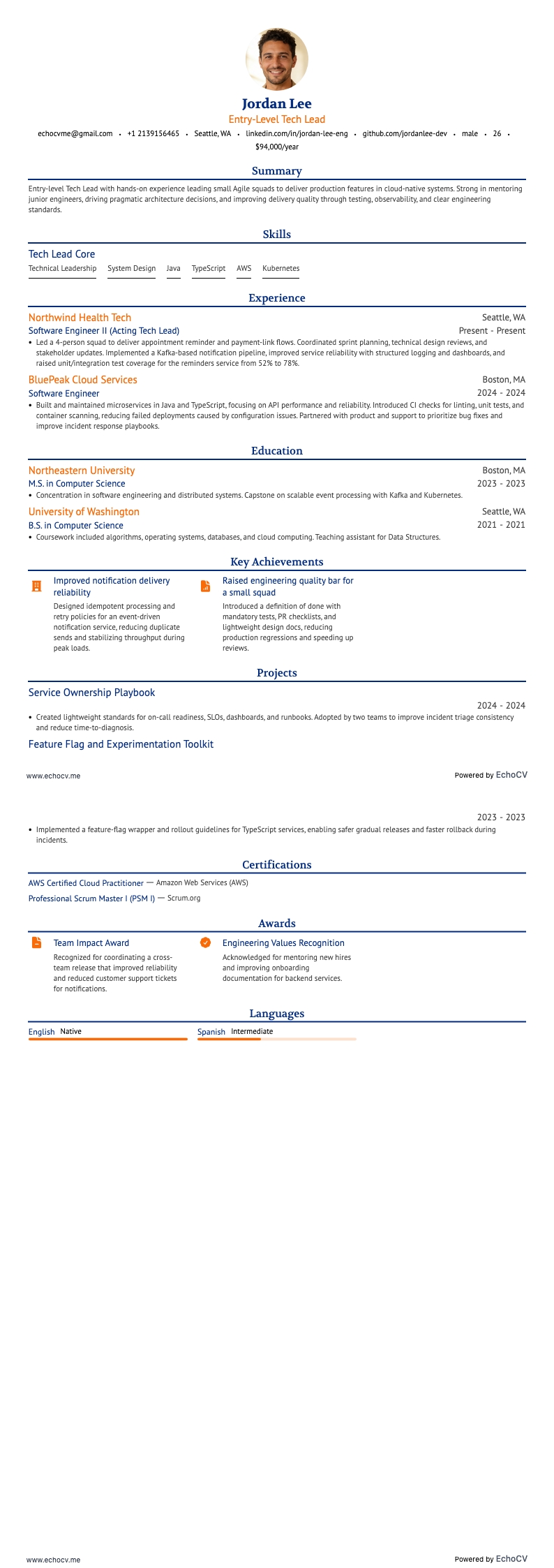 Entry-Level Tech Lead full preview