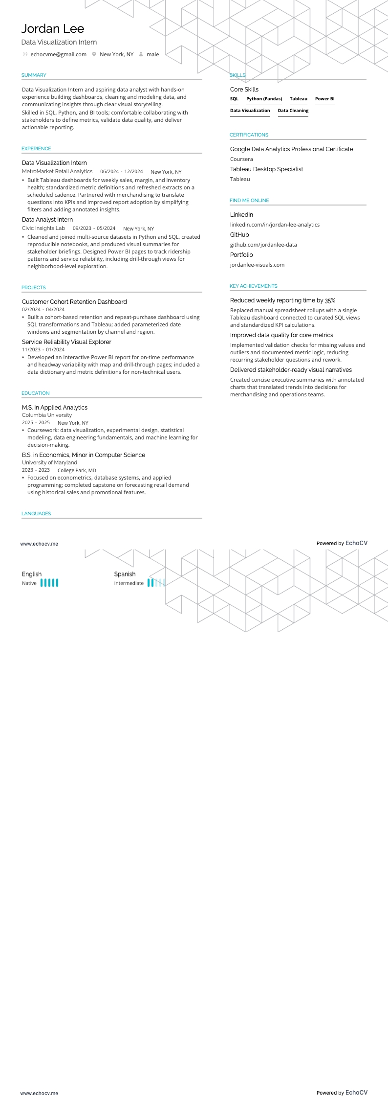 Stagiair datavisualisatie example resume