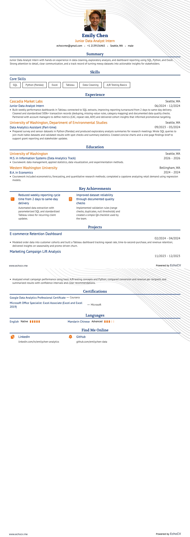 Practicante de Analista de Datos resume example