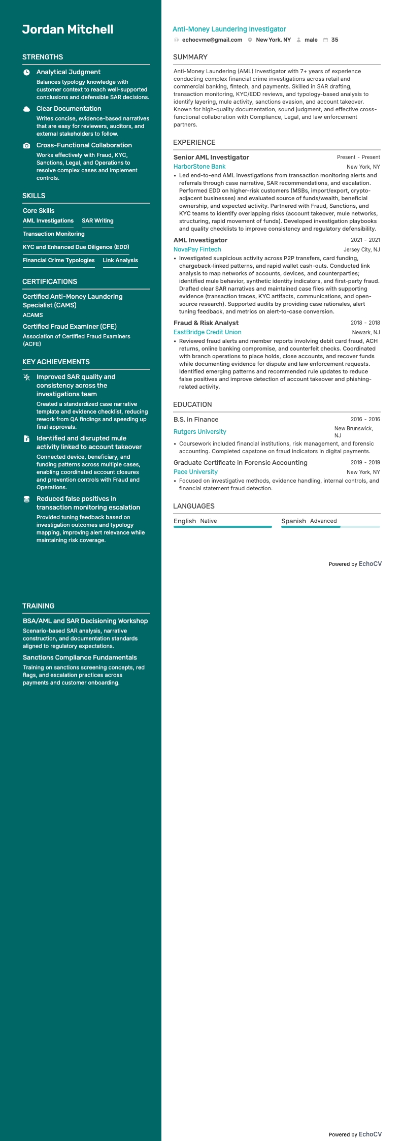 マネーロンダリング対策調査担当者 example resume