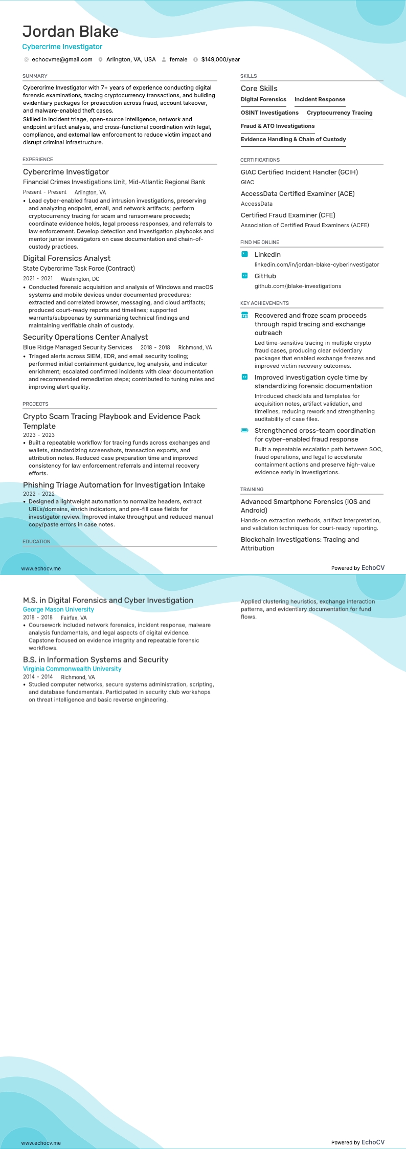 Onderzoeker cybercriminaliteit example resume