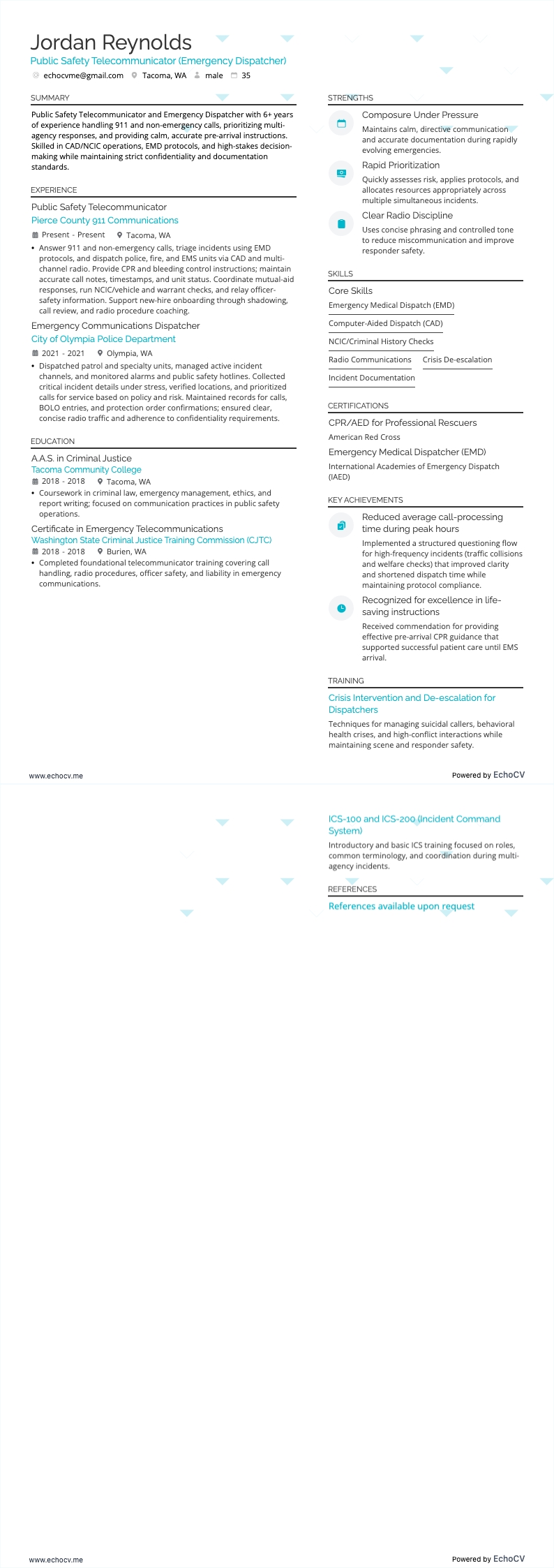 緊急調度員 resume example