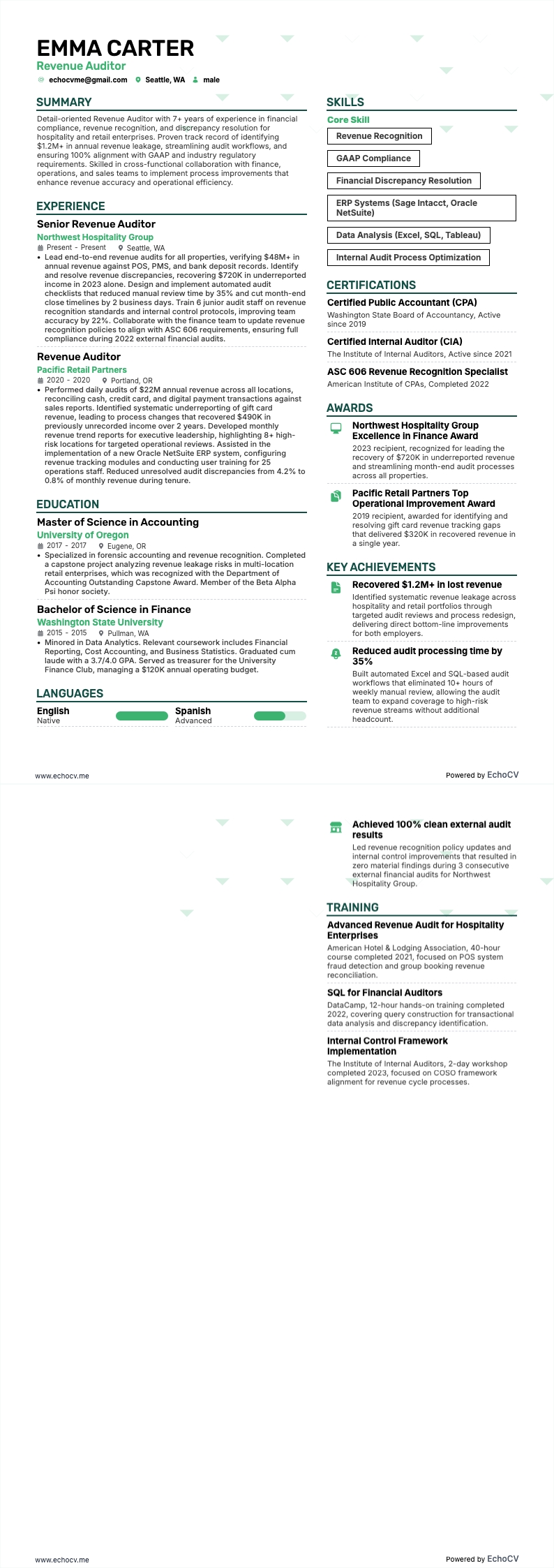 Auditeur des revenus example resume