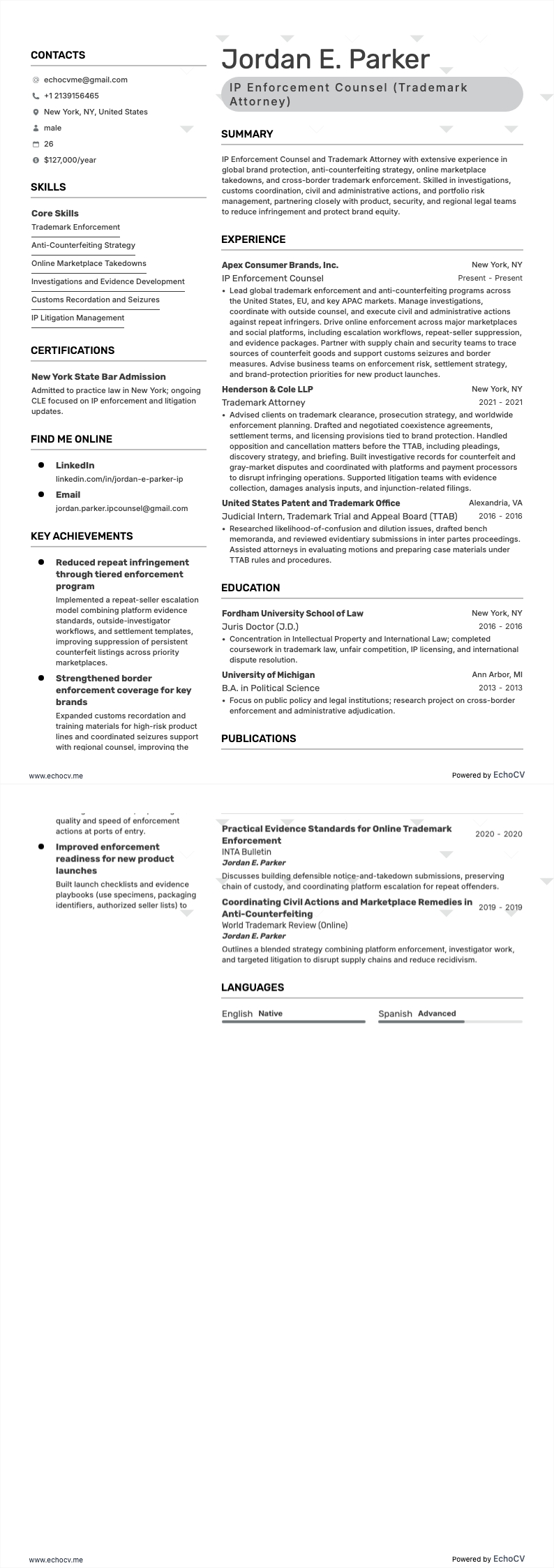 Abogado de ejecución de PI example resume