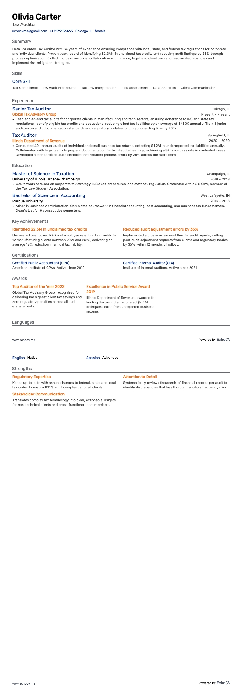 Revisore resume example