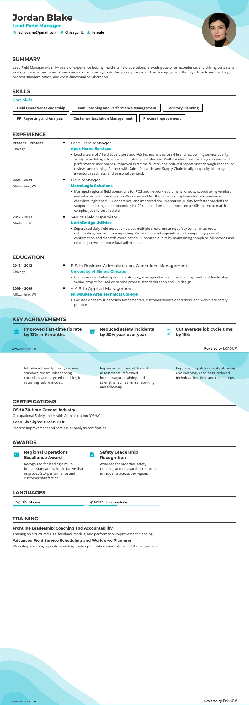 Lead Field Manager example resume