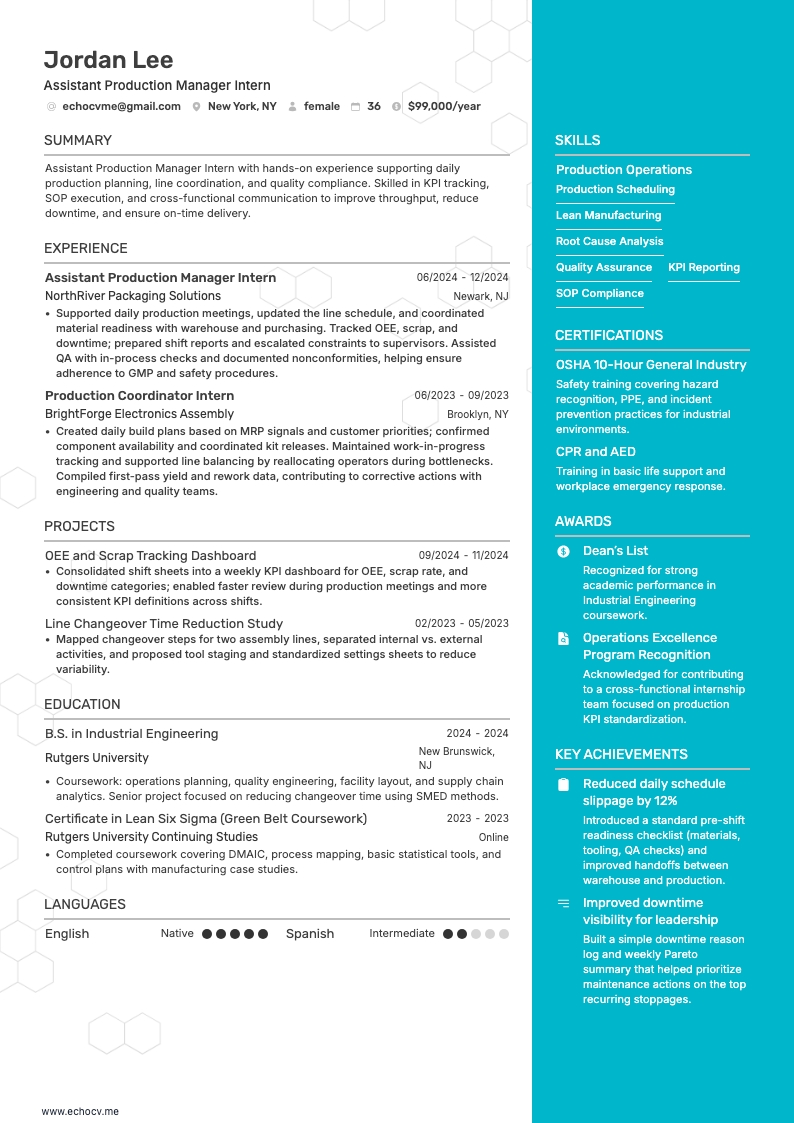 Vice responsabile di produzione resume example