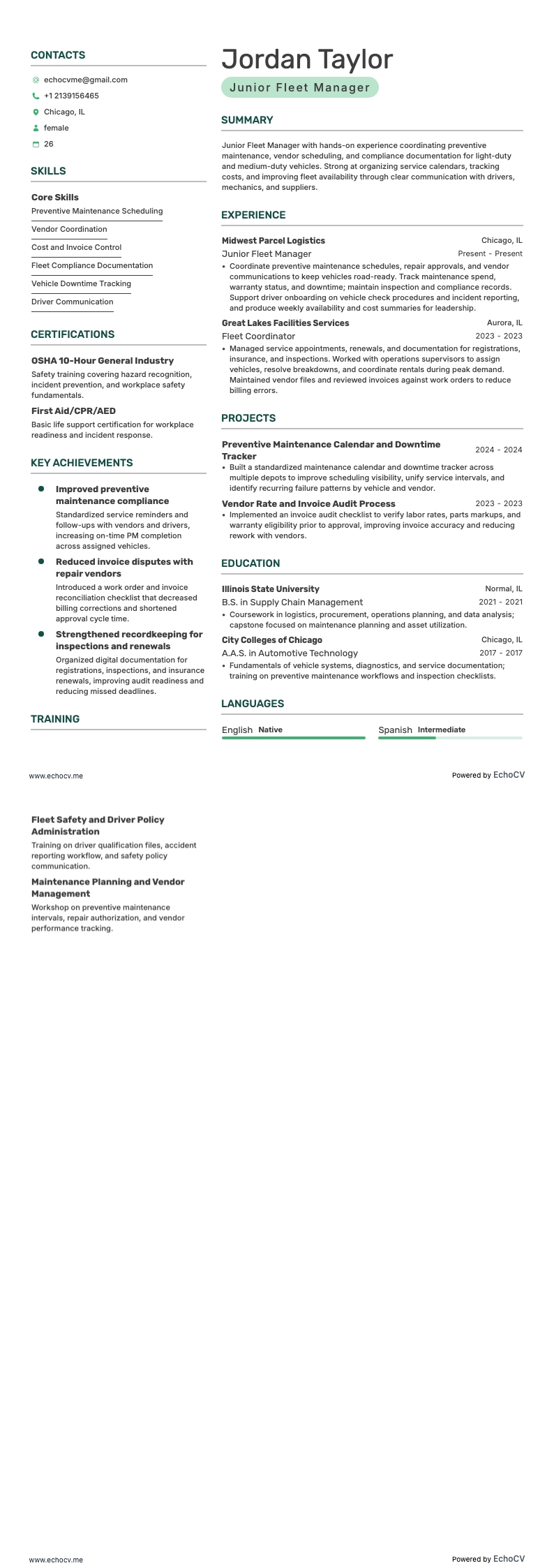 Junior Fleet Manager example resume