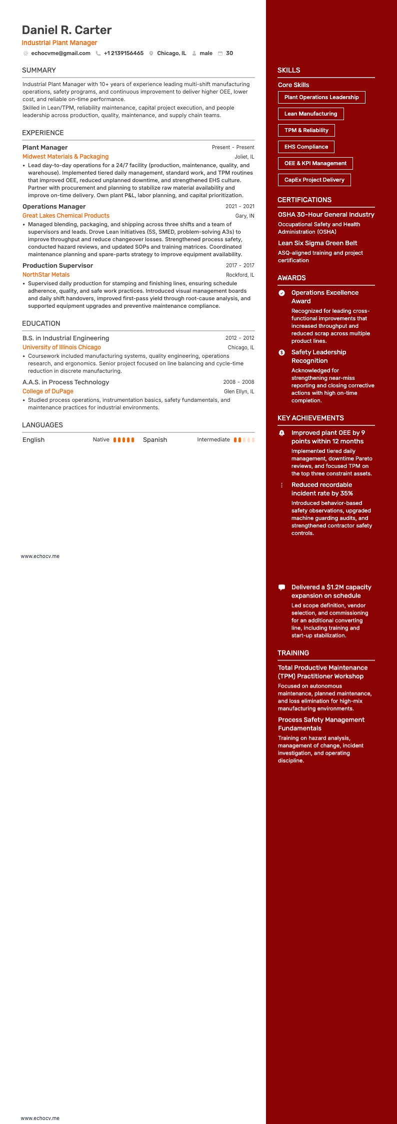 Directeur d’usine resume example