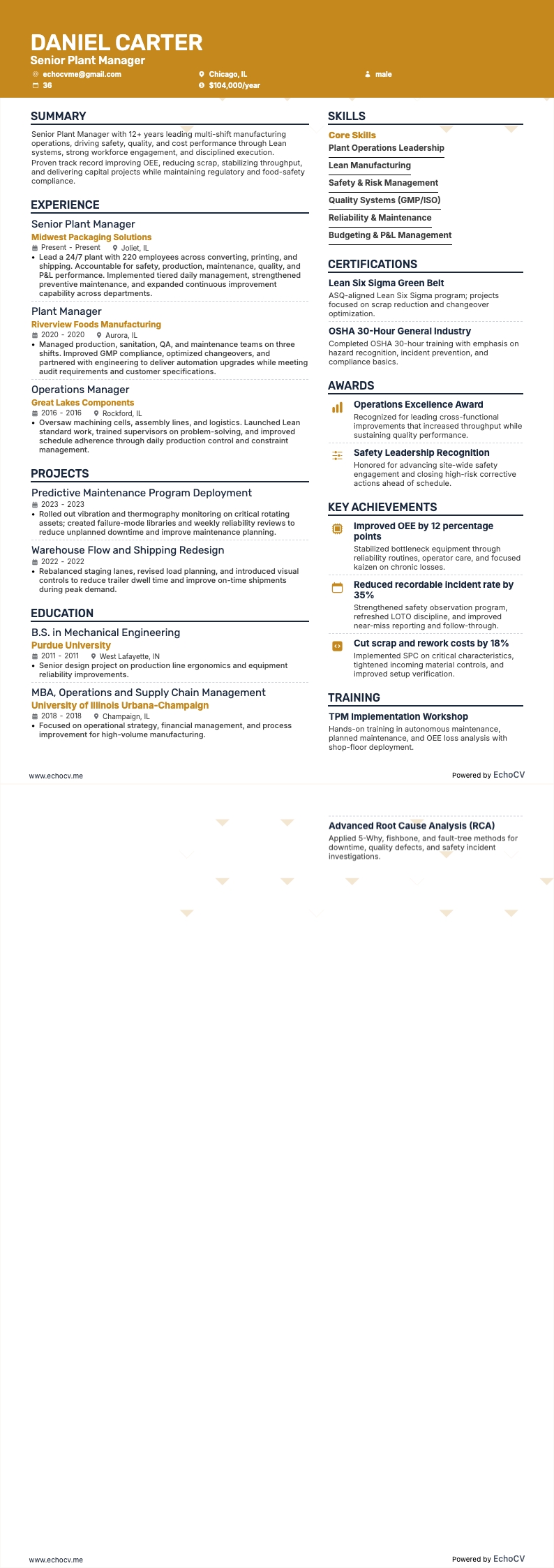 공장 관리자 resume example