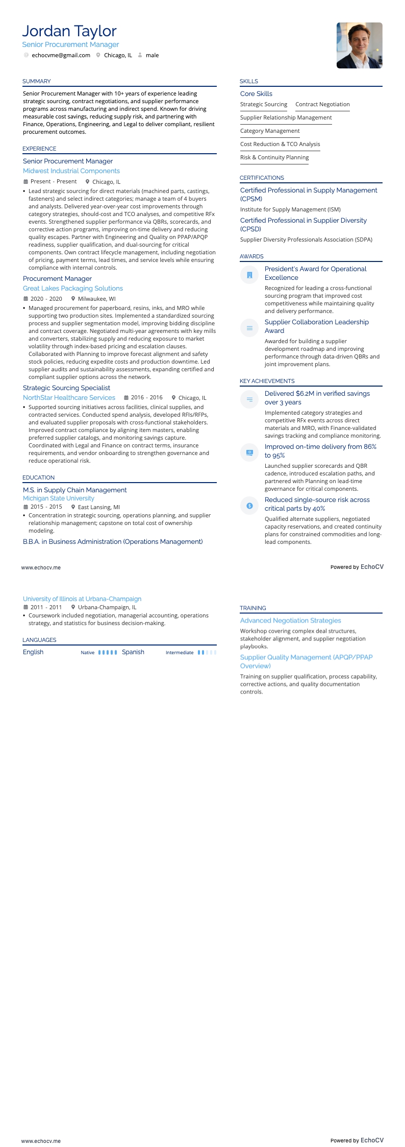 高级采购经理 example resume