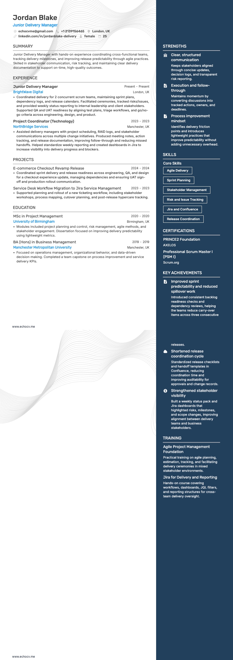 딜리버리 매니저 resume example