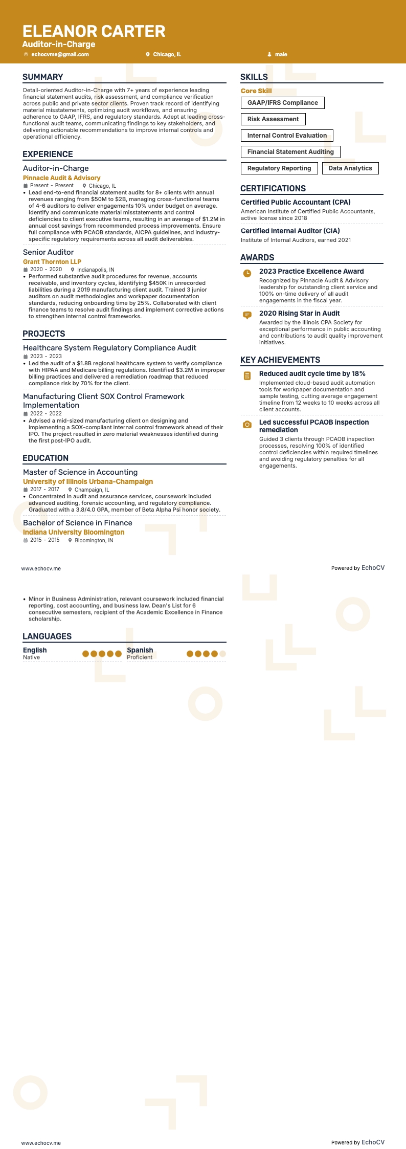 Auditeur responsable example resume