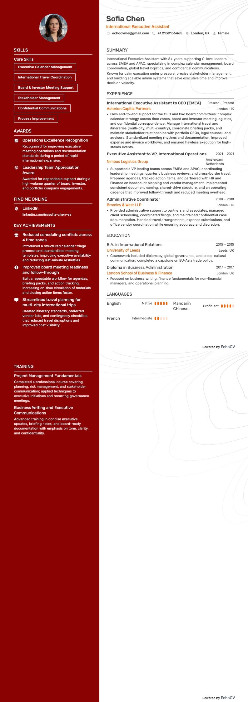 International Executive Assistant example resume