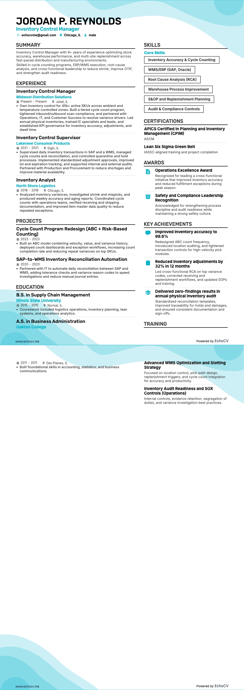 Responsable du contrôle des stocks example resume