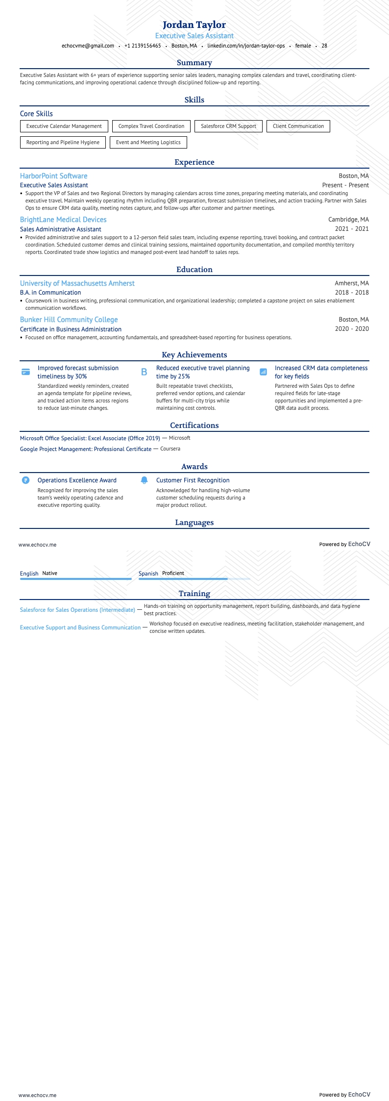 Executive Sales Assistant example resume