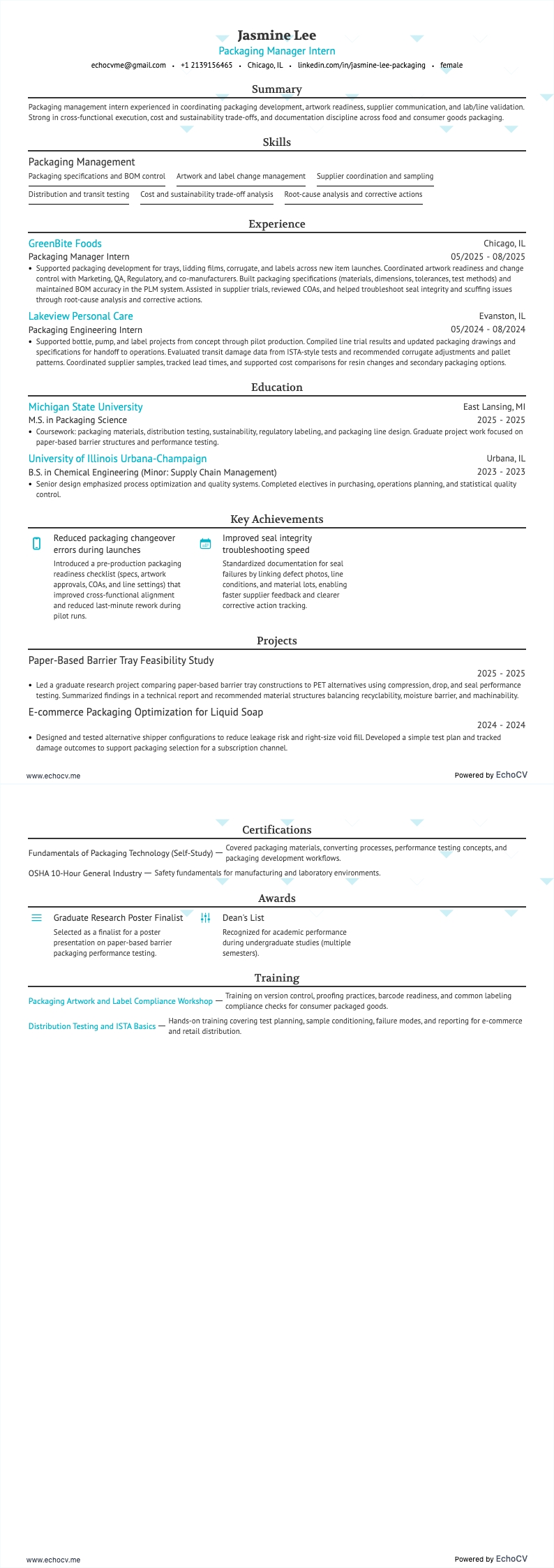 Packaging Manager Intern example resume