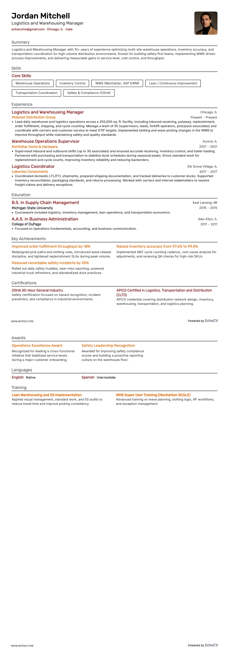 Responsabile di magazzino resume example