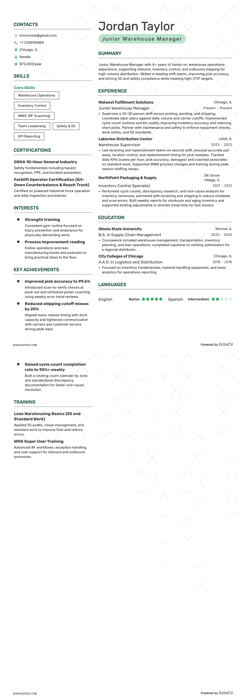 Responsabile di magazzino junior example resume