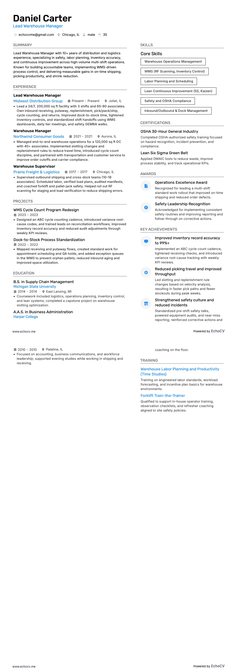 Anteprima completa di Responsabile capo magazzino