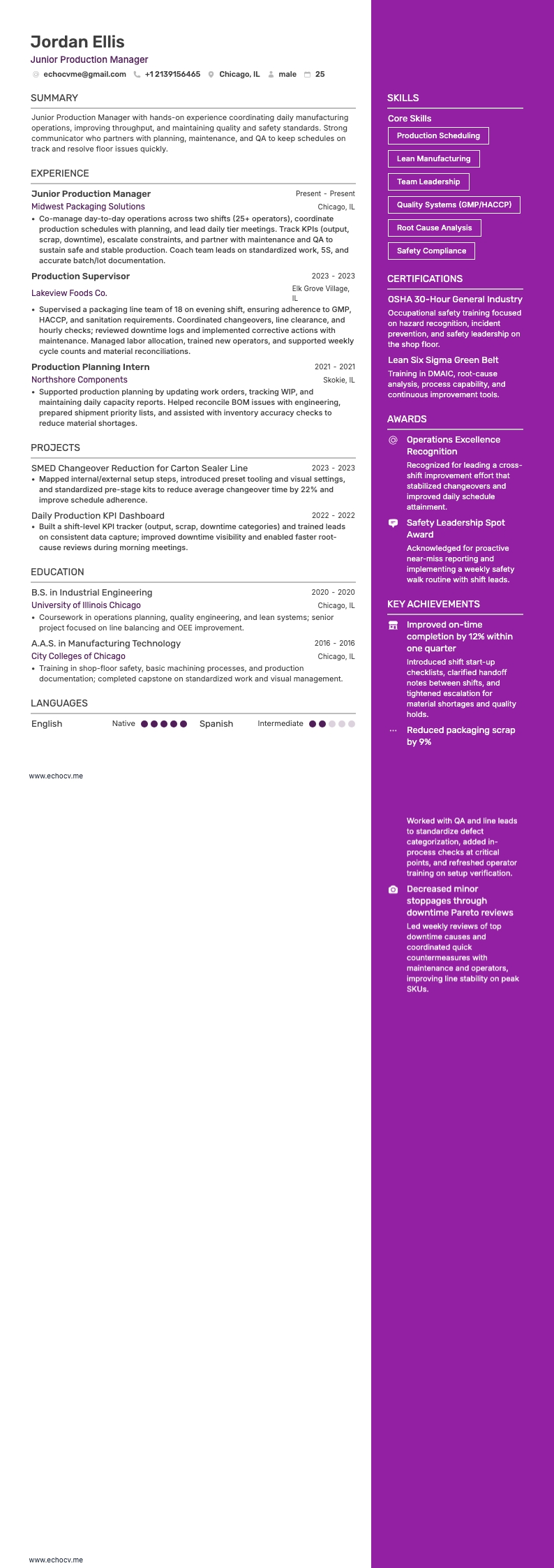 Junior Production Manager example resume