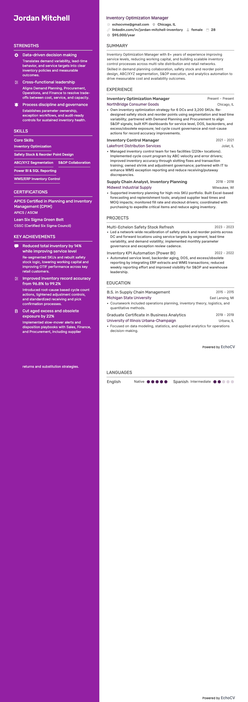 Inventory Optimization Manager example resume