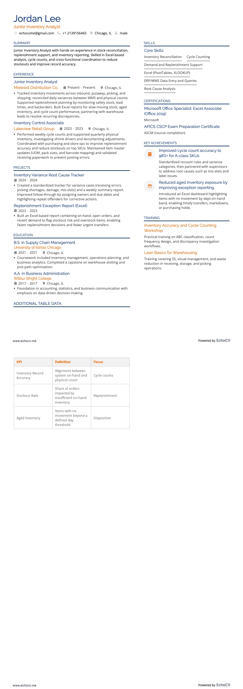 Analista junior dell'inventario resume example