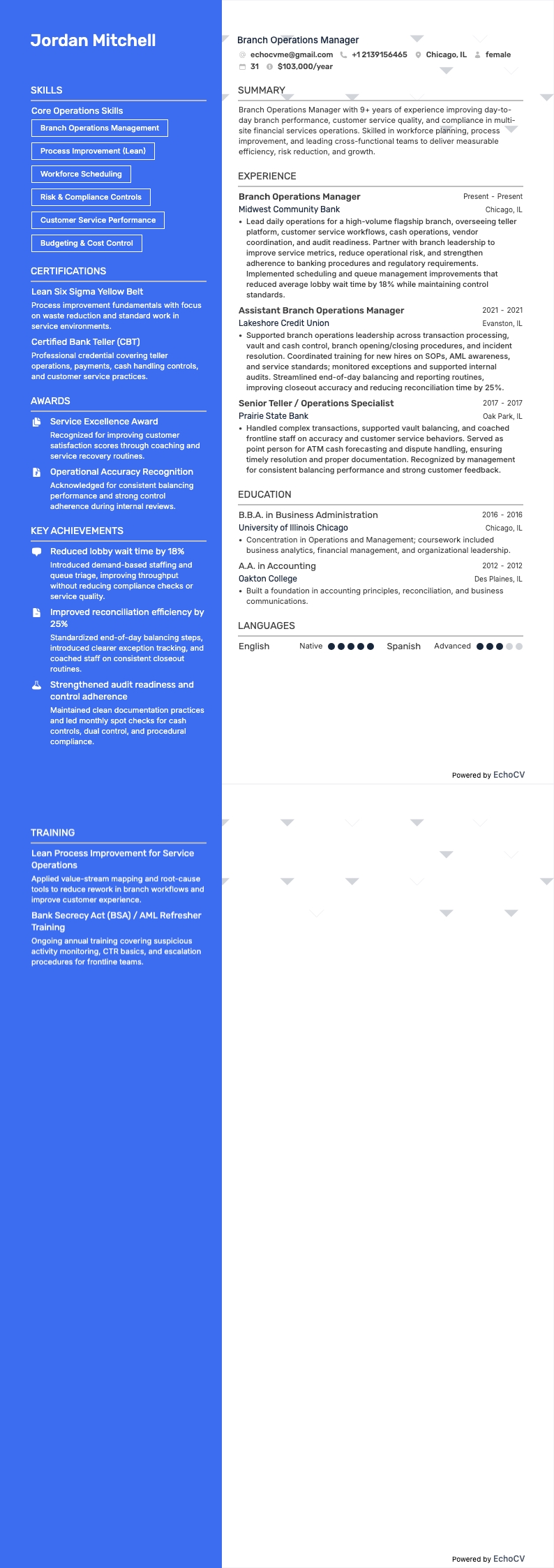 Branch Operations Manager example resume